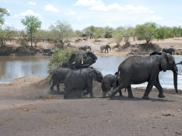 Western_Corridor2009-30